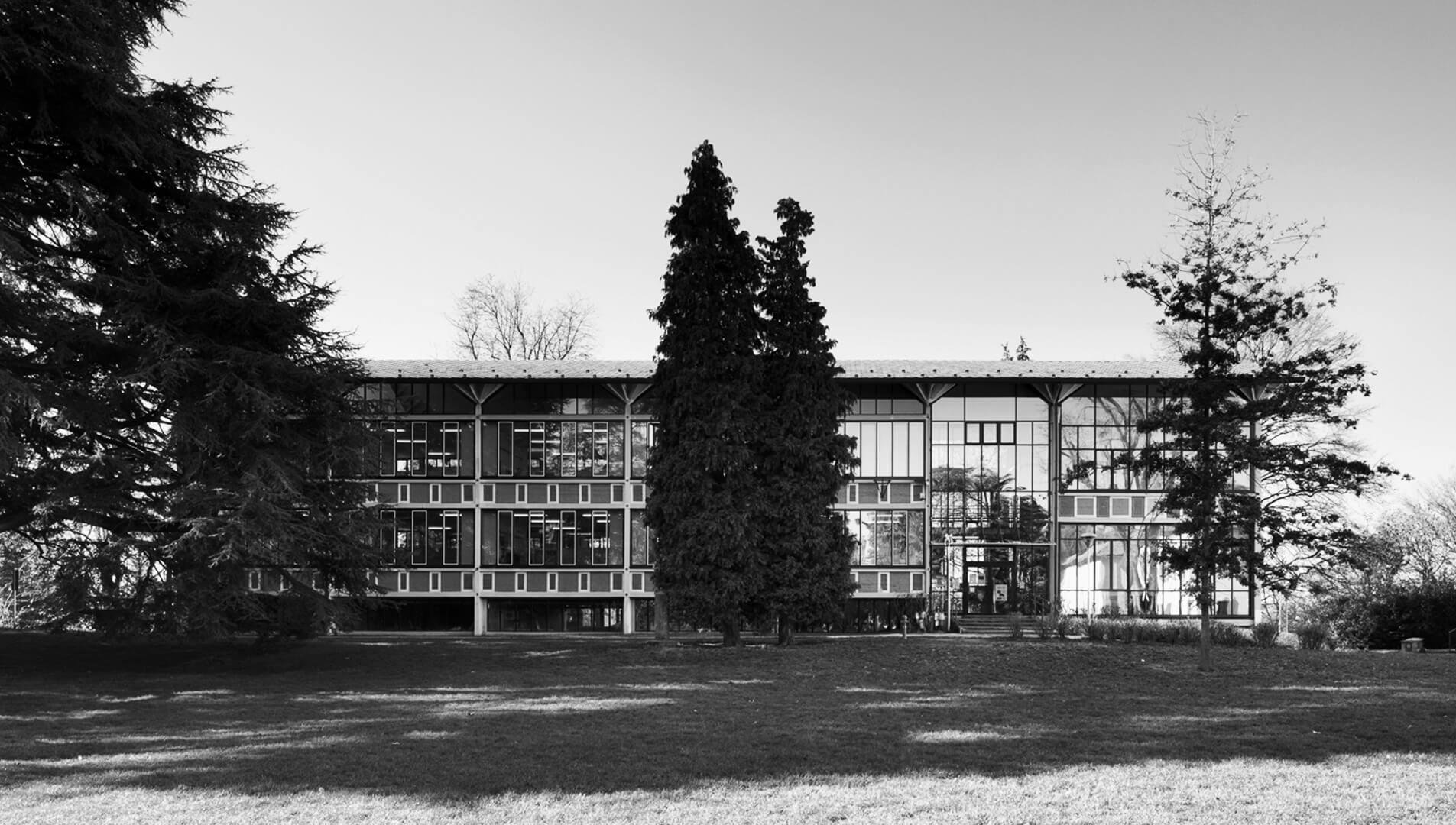 Scuola primaria Parini: Immagine