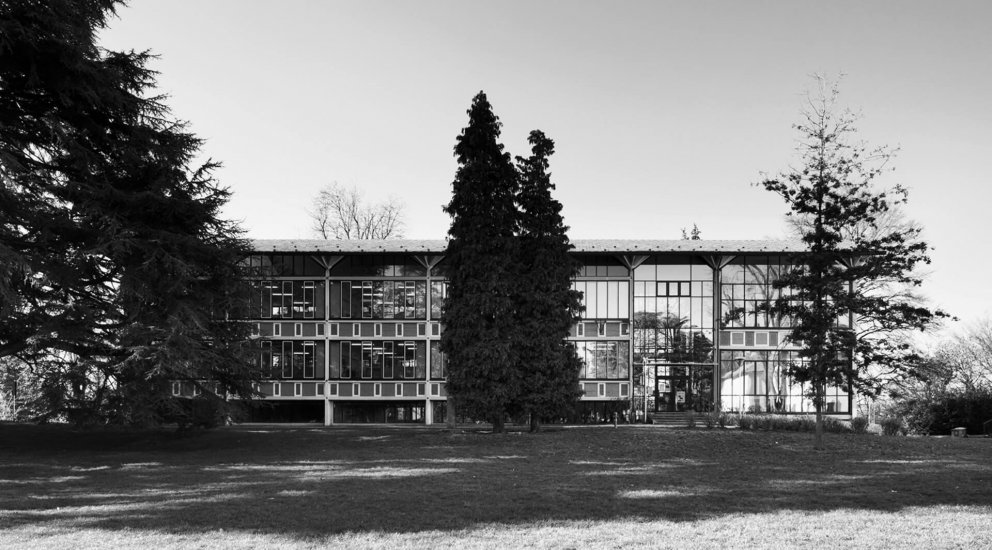 Scuola primaria Parini: Immagine